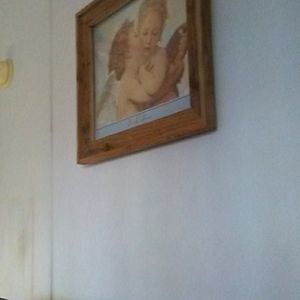 Meet your Posher, Charlotte